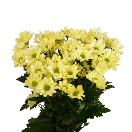 Чик крем куст. (5 шт)