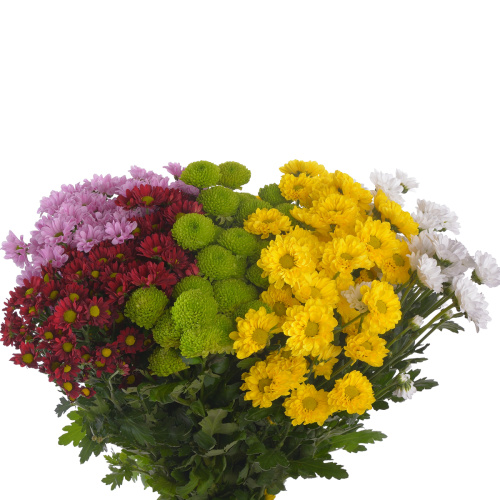 Сантини микс (25 шт)