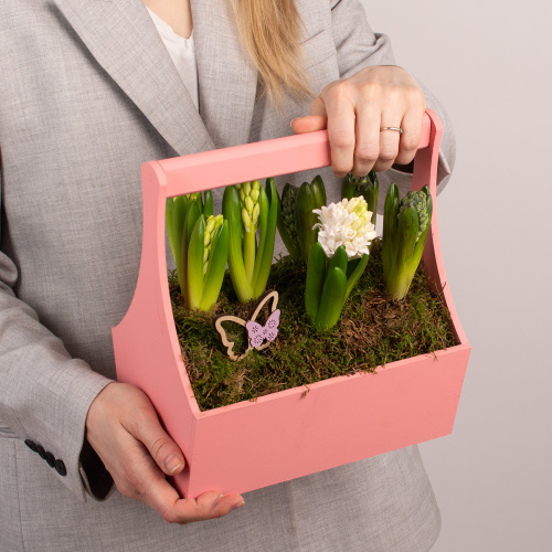 Композиция из растений 08