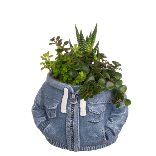 Композиция плант 15/14 см