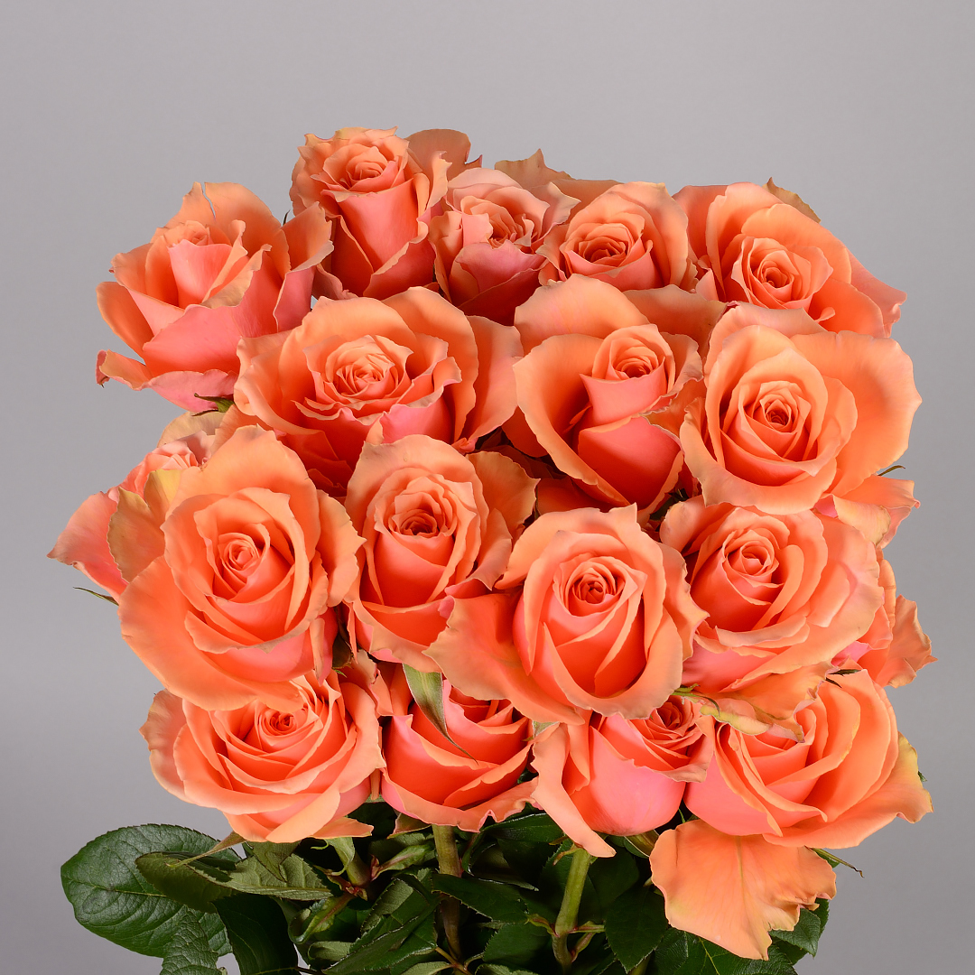 25 шт в упаковке