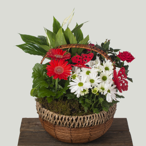 композиция из растений 17