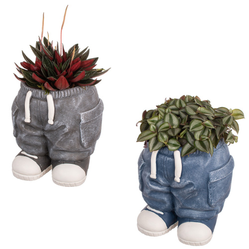 Композиция плант 17/20 см