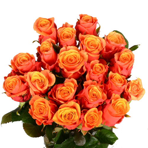 Эспания (20 шт) рм