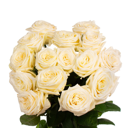 Кендал лайт (15 шт) рм