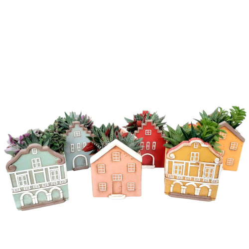 Композиция плант 20/12 см