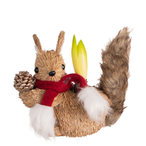 Гиацинт в деко кашпо 20/23 см