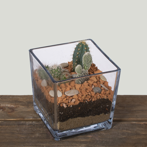 Композиция из растений 16