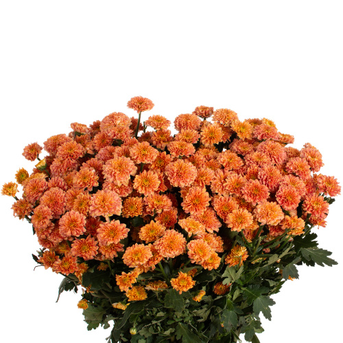 Сантини миллер смоук (25 шт)