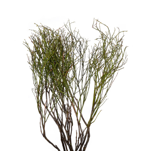 вациниум (10 шт)