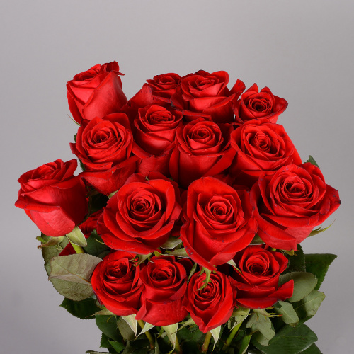 Фридом одн. 80 см (25 шт)