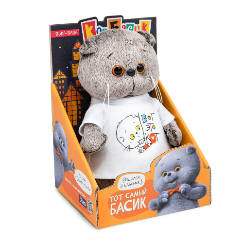 Кот Басик в футболке с принтом (Ksm19-003) Мультсериал