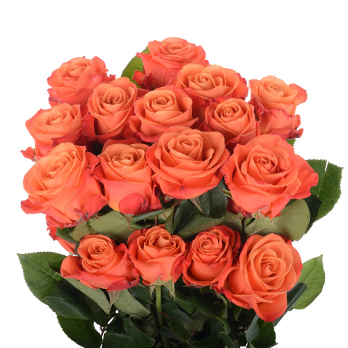 Оранж краш (25 шт)