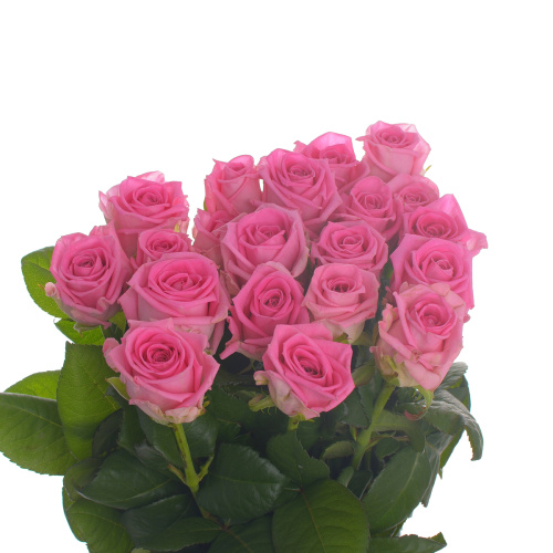 Аква (20 шт) рм