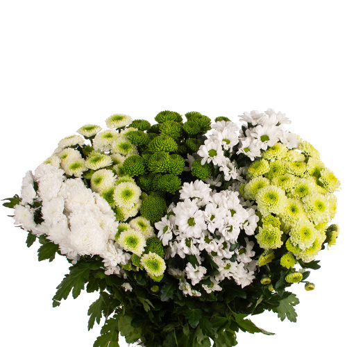 Сантини бриз микс (25 шт)