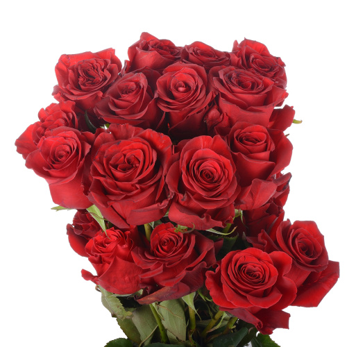 Фортуна (25 шт)