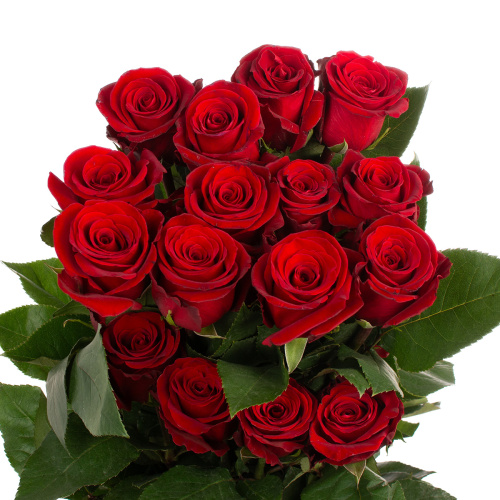 Фортуна (25 шт)