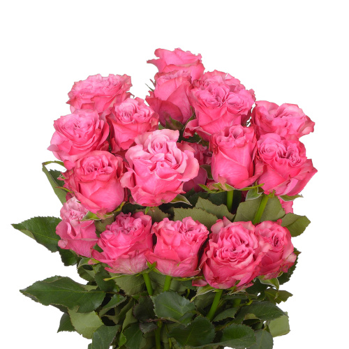 Кантри блюз (25 шт)