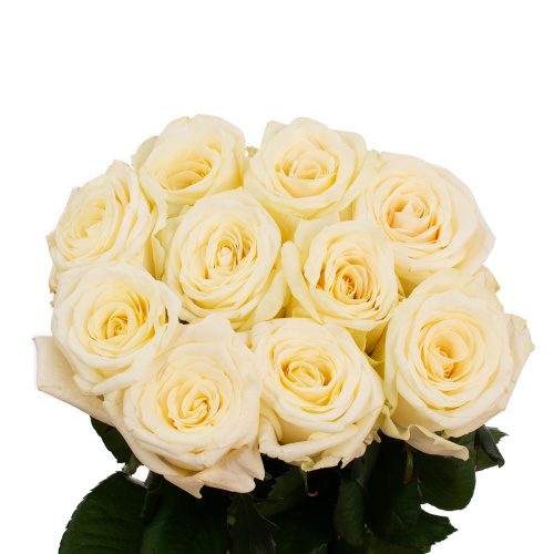 Кендал лайт (10 шт) рм