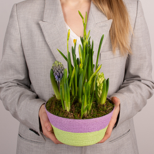 Композиция из растений 03