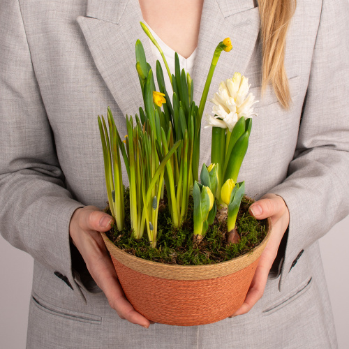 Композиция из растений 09