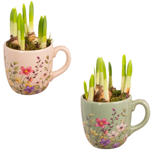 Нарцисс в деко кашпо 18/14 см