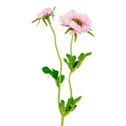 искусственный цветок скабиоза (709-149)