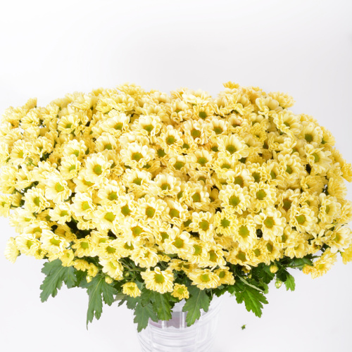 Сантини Росси крем (25 шт)