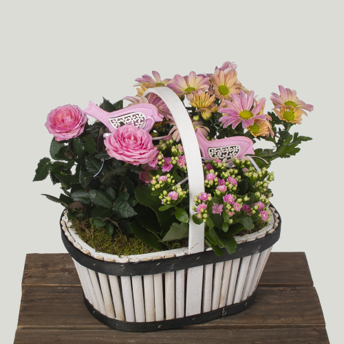 Композиция из растений 13