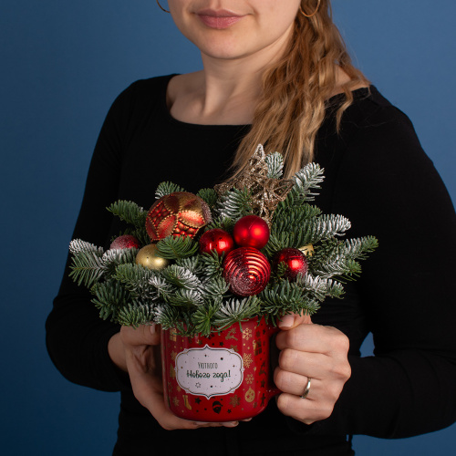 Композиция зимняя 01