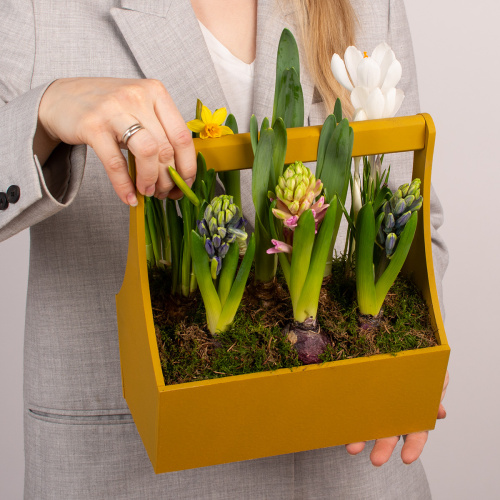 Композиция из растений 12