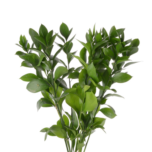 Рускус (10 шт)